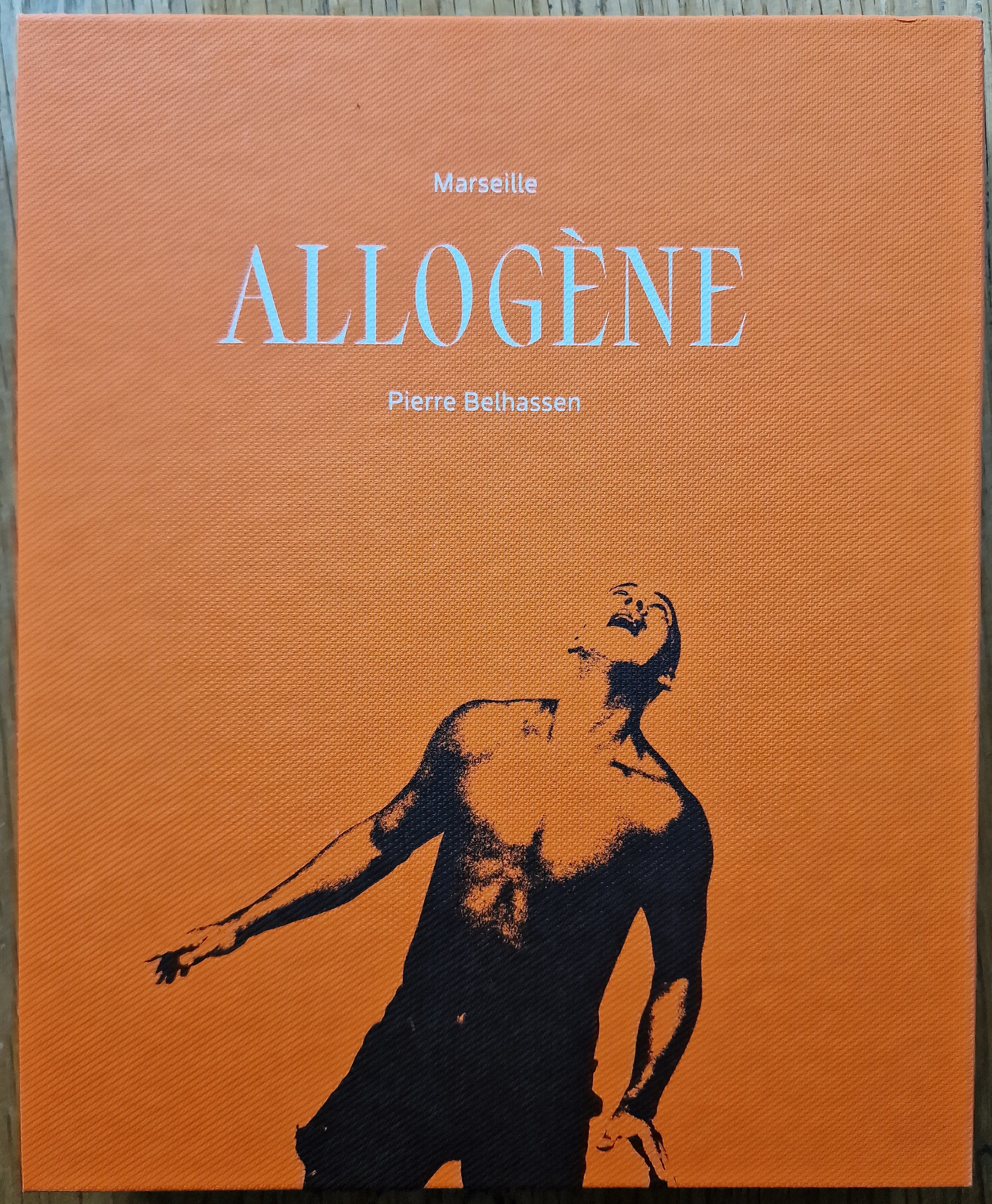 Buy Marseille Allogene by Pierre Belhassen Online – Setanta Books