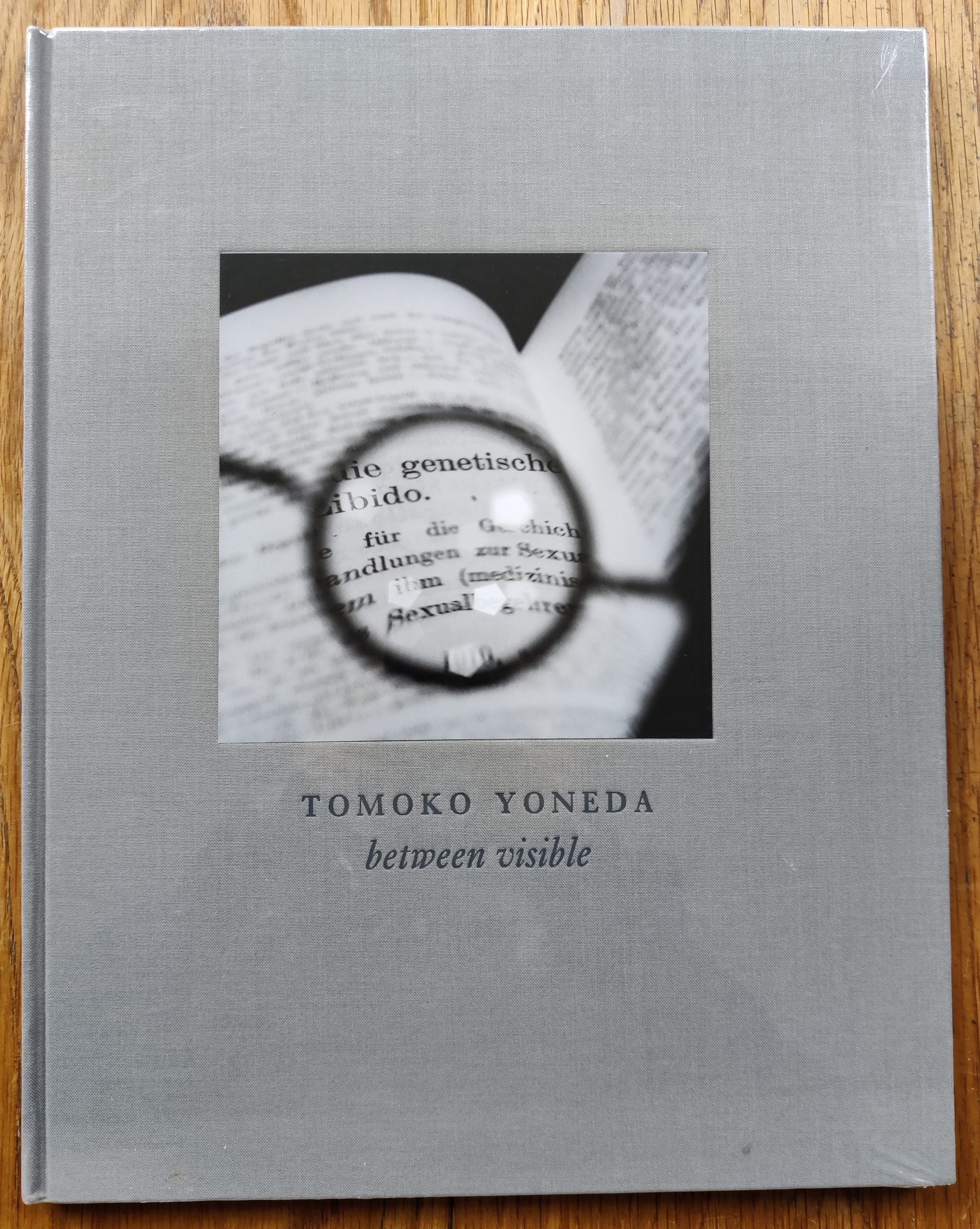 Buy Between Visible by Tomoko Yoneda online book store – Setanta Books