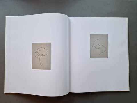 Sea Etchings (Special slipcased edition with print)