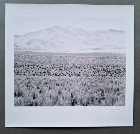 Grasslands (Special slipcased edition with print)