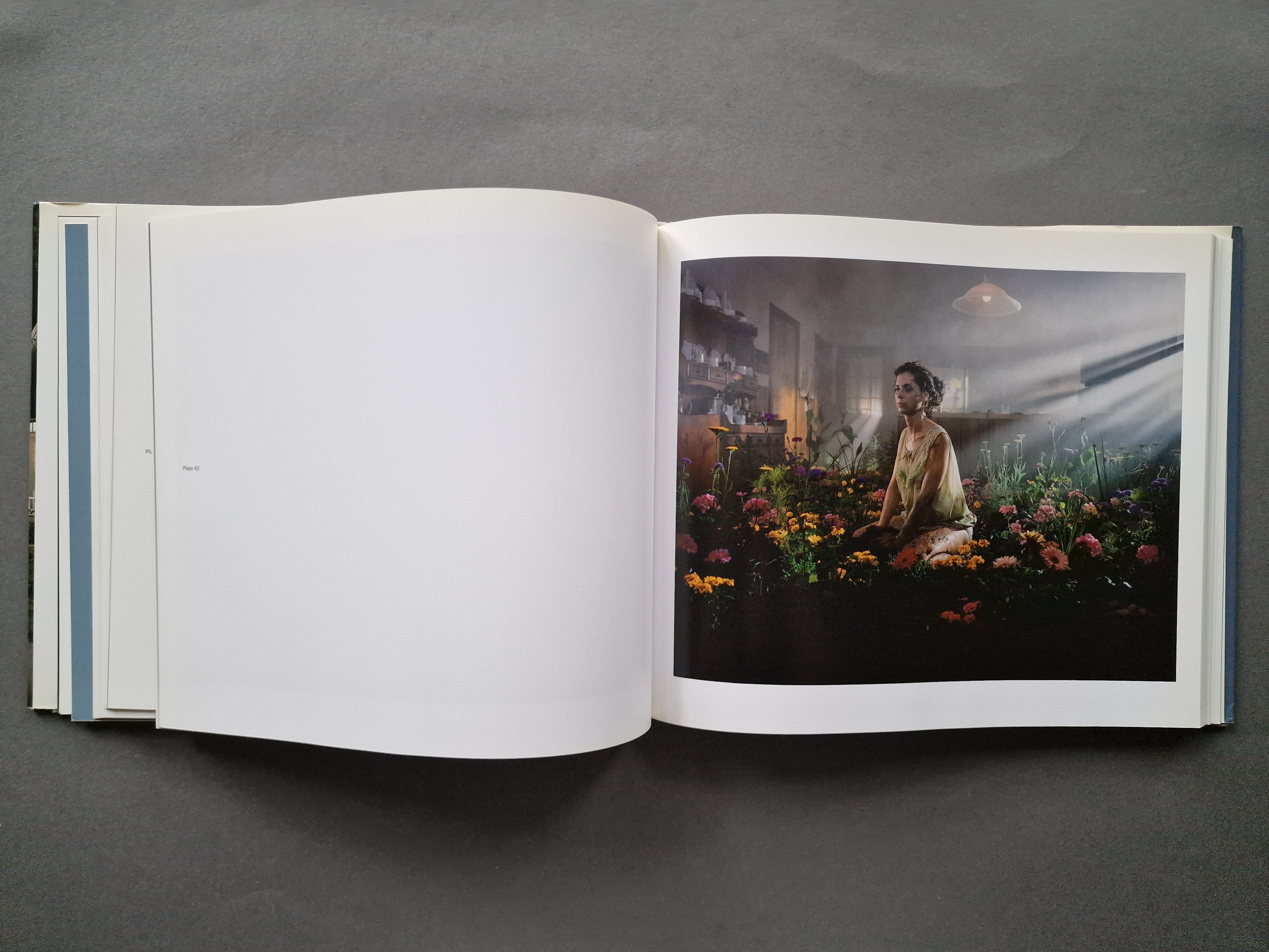 Buy Gregory Crewdson: 1985-2005 Online – Setanta Books