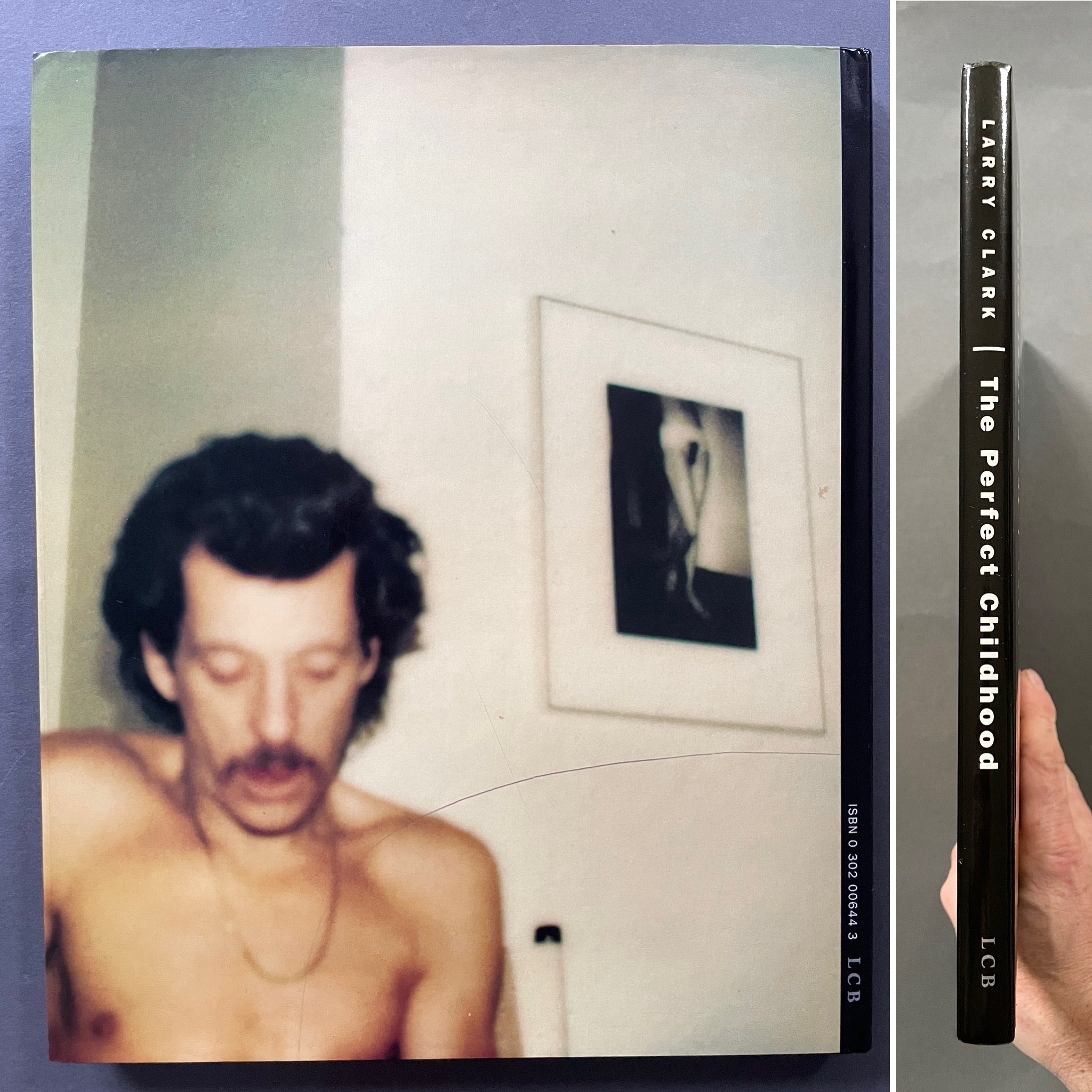 Buy The Perfect Childhood by Larry Clark Online – Setanta Books