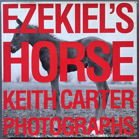 Ezekiel's Horse