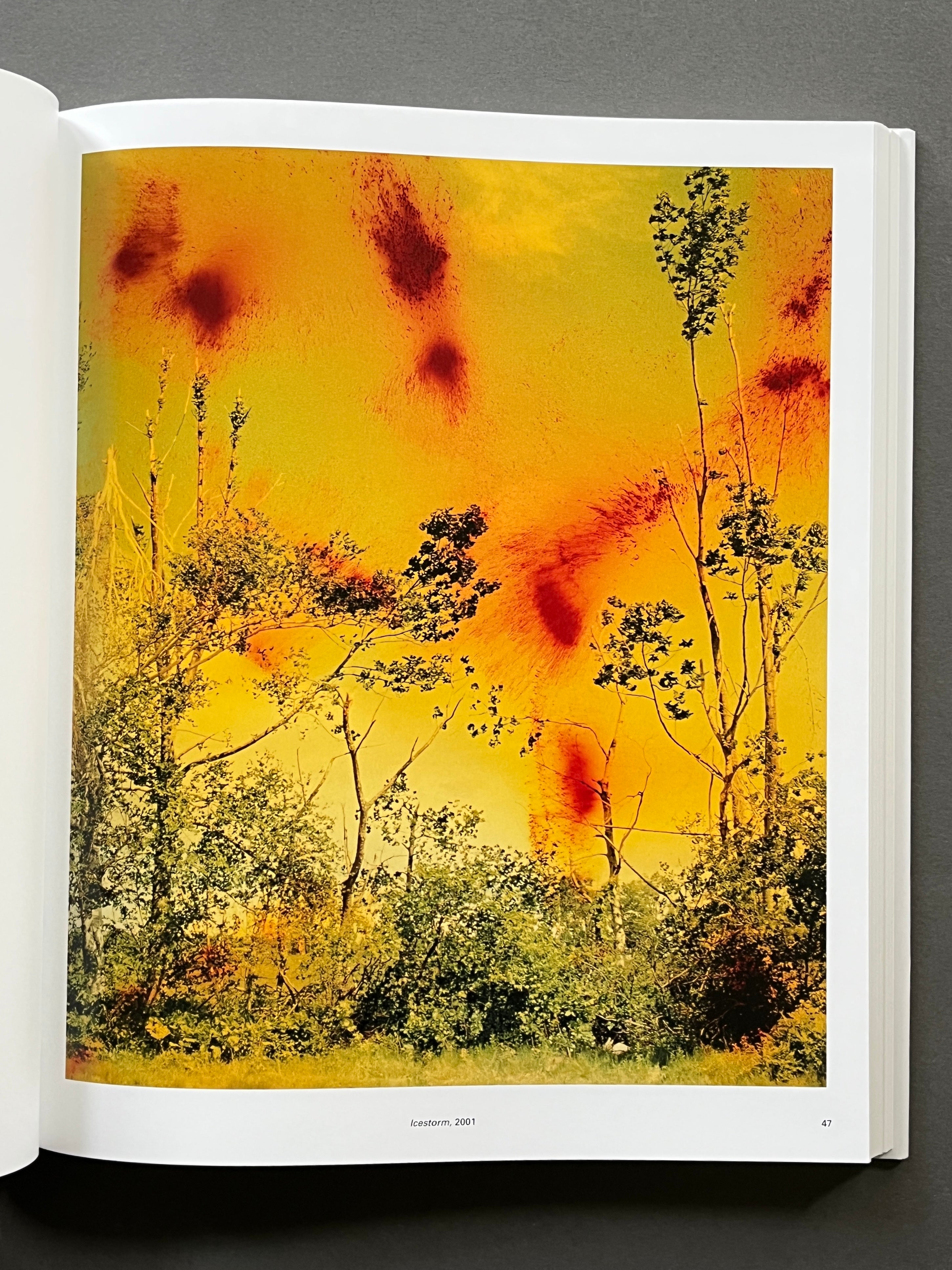 View from Above by Wolfgang Tillmans | Photography | Setanta Books