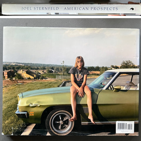 Joel Sternfeld: American Prospects