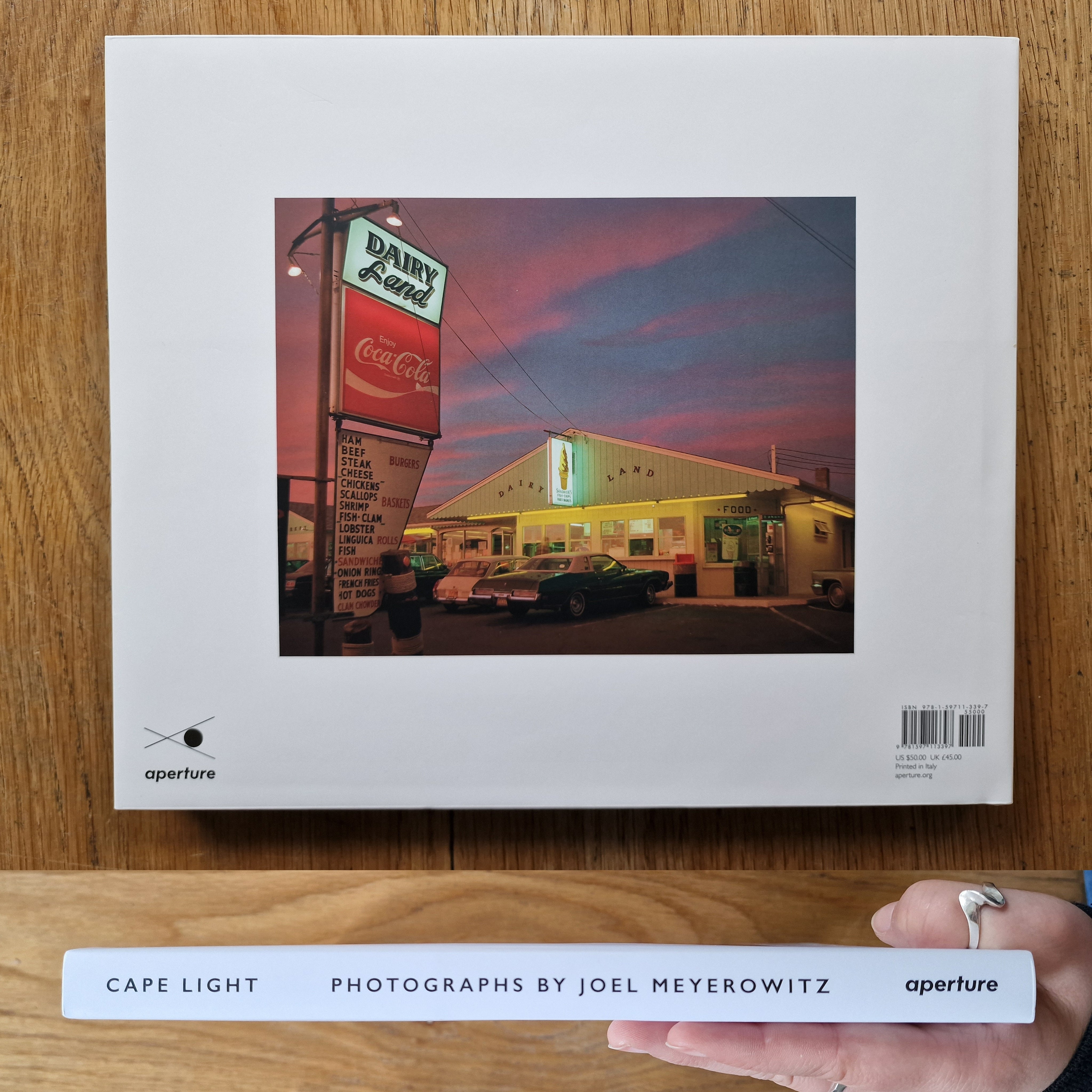 Buy Cape Light by Joel Meyerowitz Online – Setanta Books