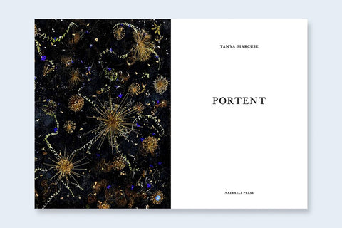 One Picture Book Two #37 : Portent