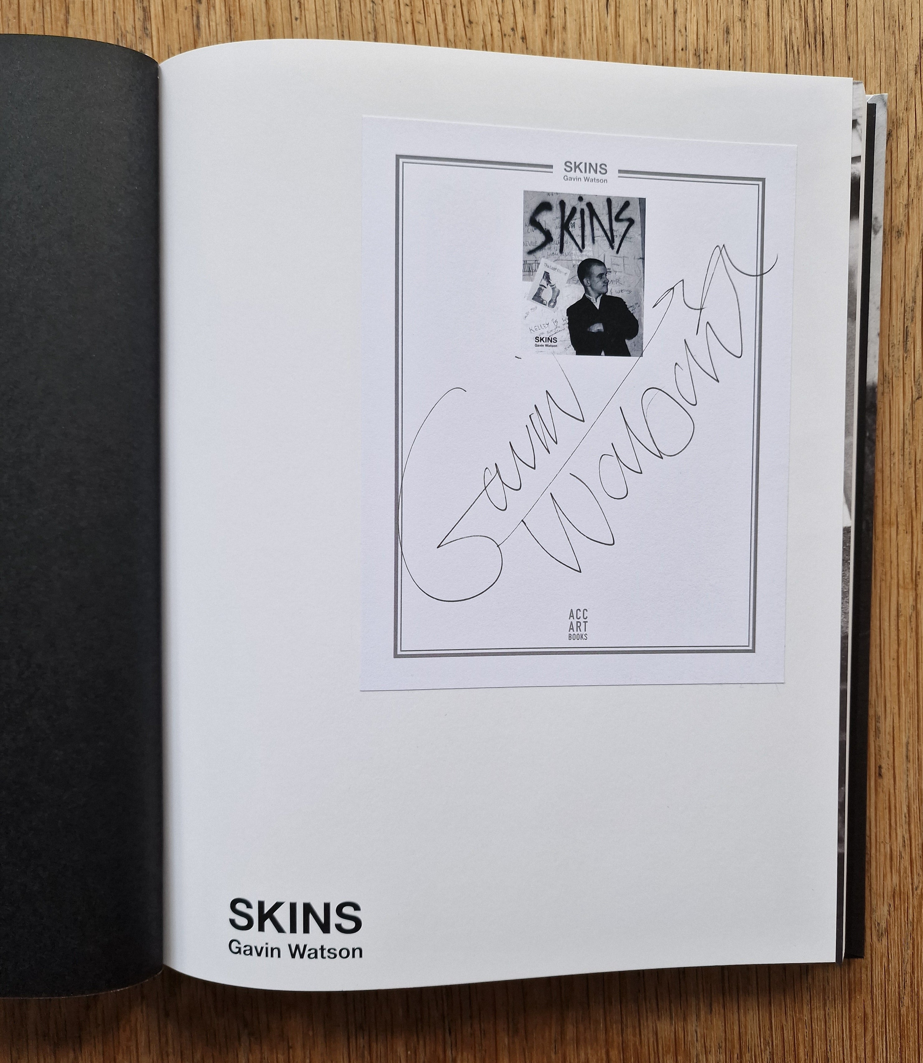 Buy Skins by Gavin Watson Online – Setanta Books