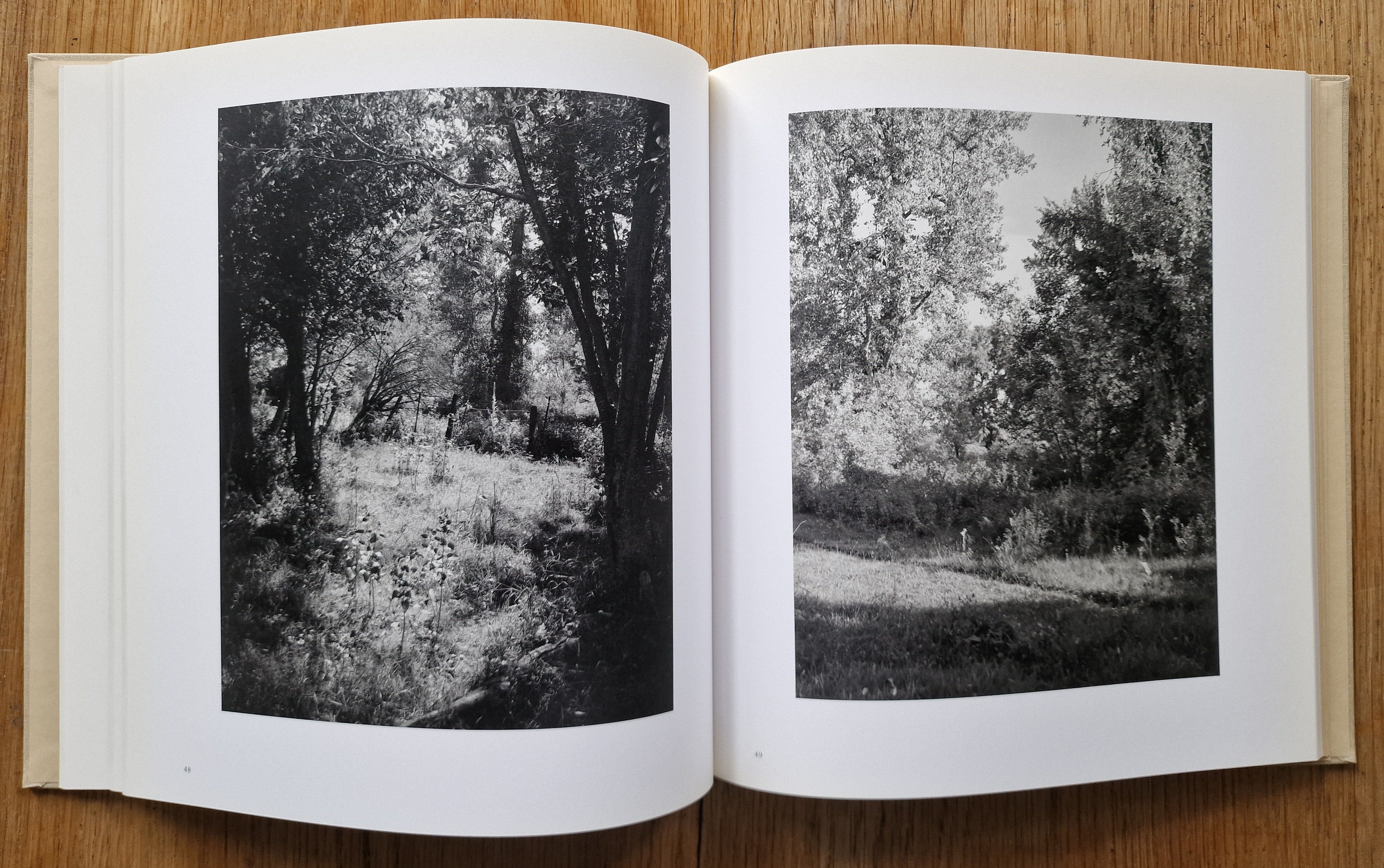 Buy Tree Line: The Hasselblad Award 2009 by Robert Adams