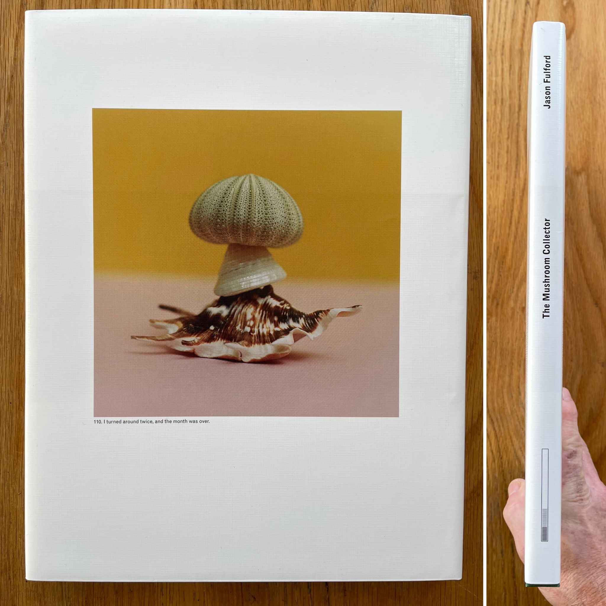 Buy The Mushroom Collector by Jason Fulford Online – Setanta Books