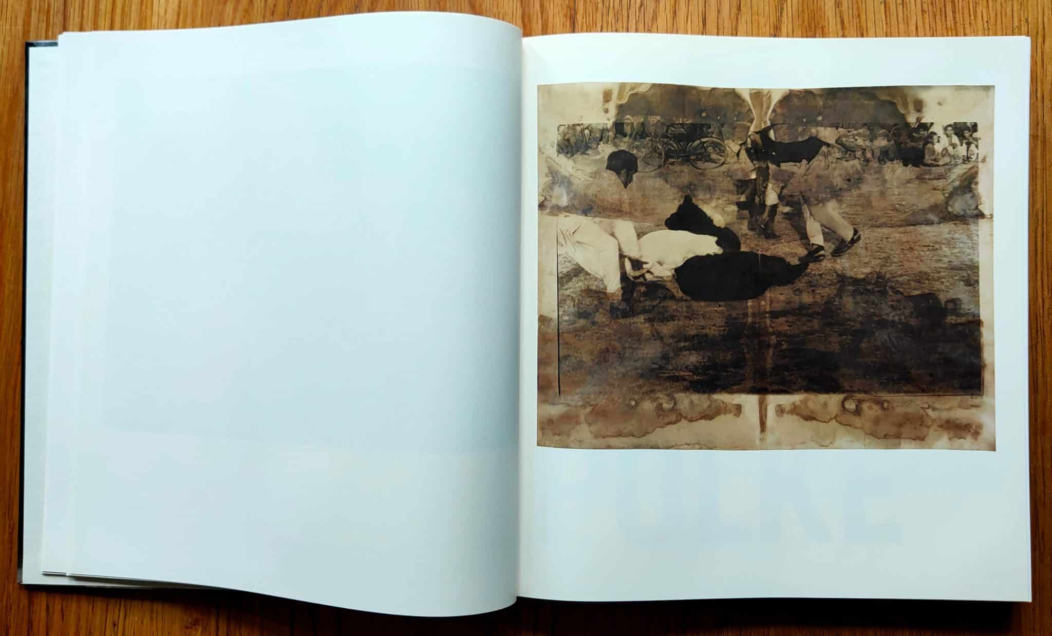 Buy Photoworks: When Pictures Vanish by Sigmar Polke online – Setanta Books