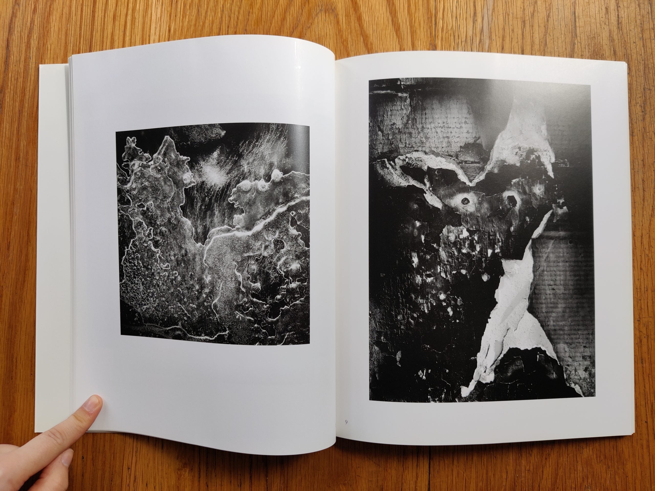 Buy In the Nature of Things by Jack Stuler photography online book 