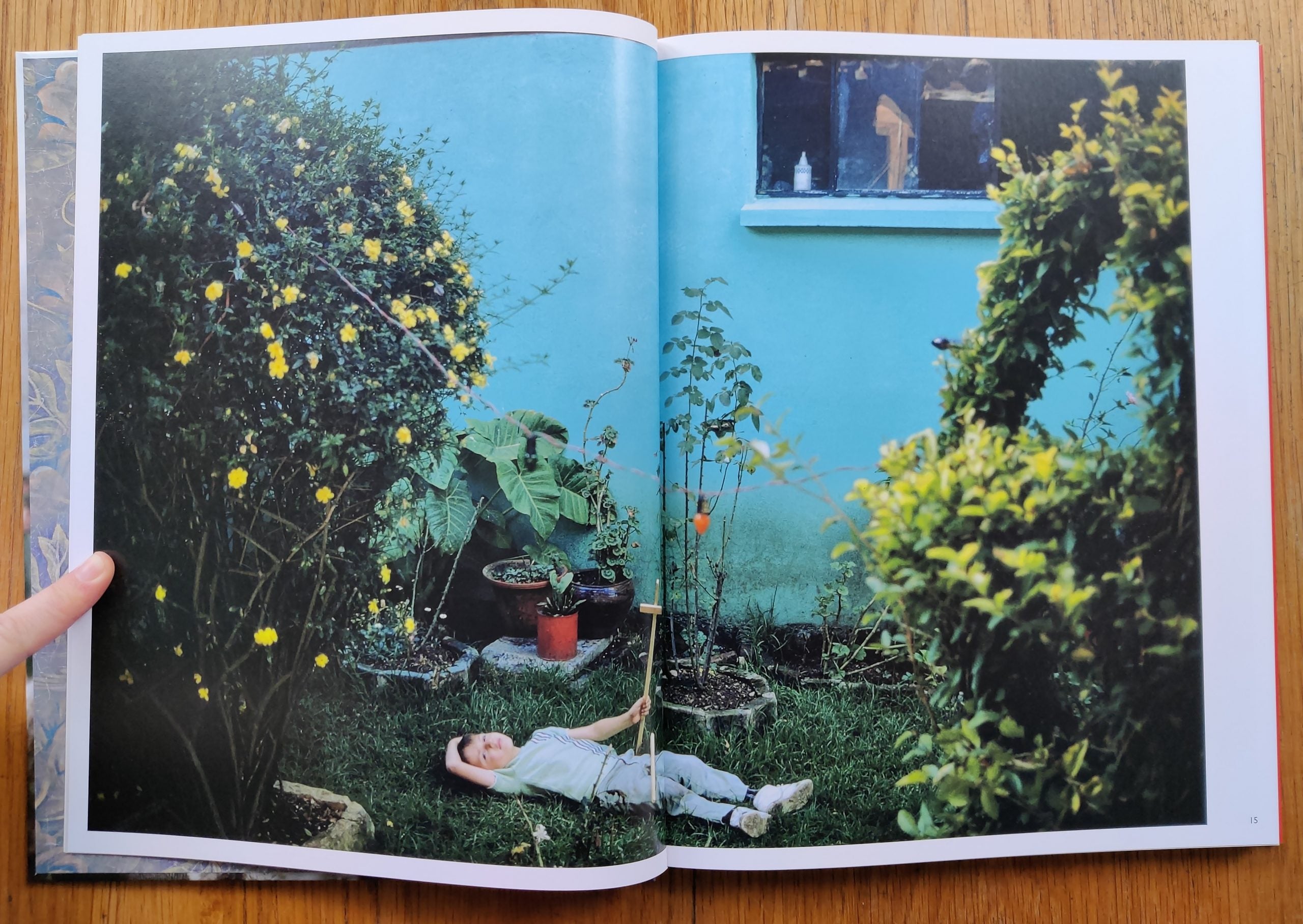 Buy Wild Flowers by Joel Meyerowitz online – Setanta Books