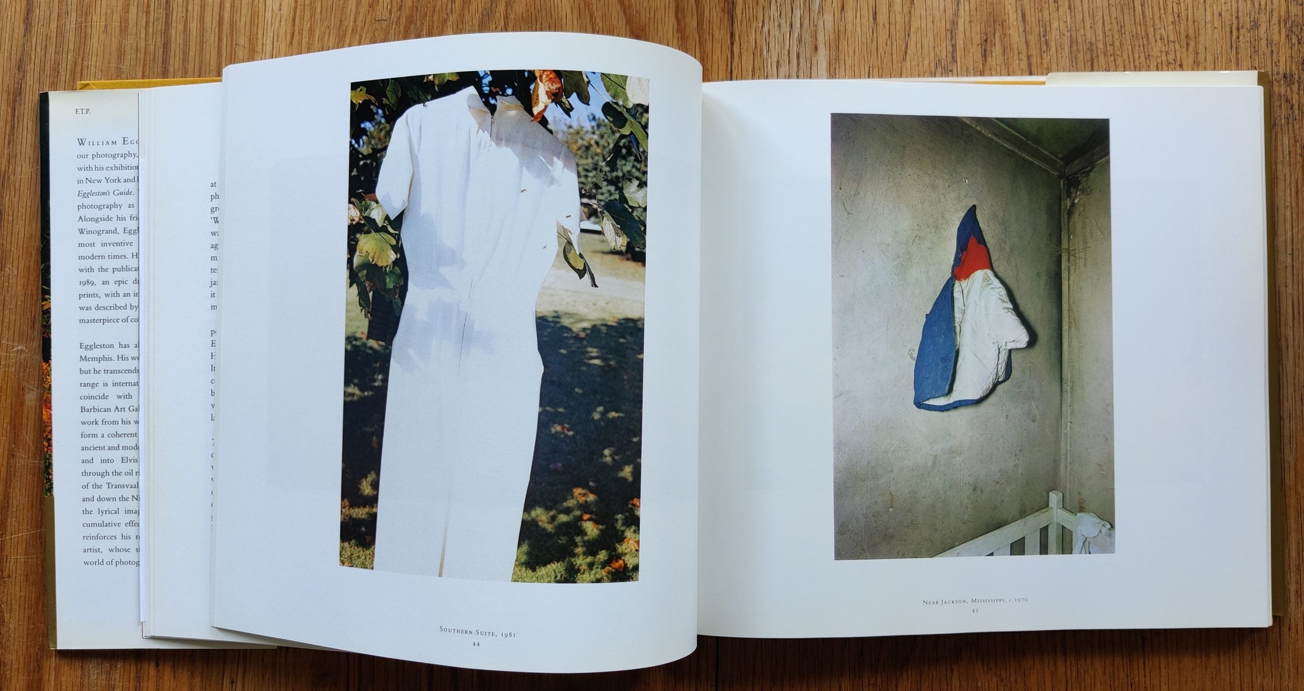 Ancient and Modern by William Eggleston | Photography | Setanta Books