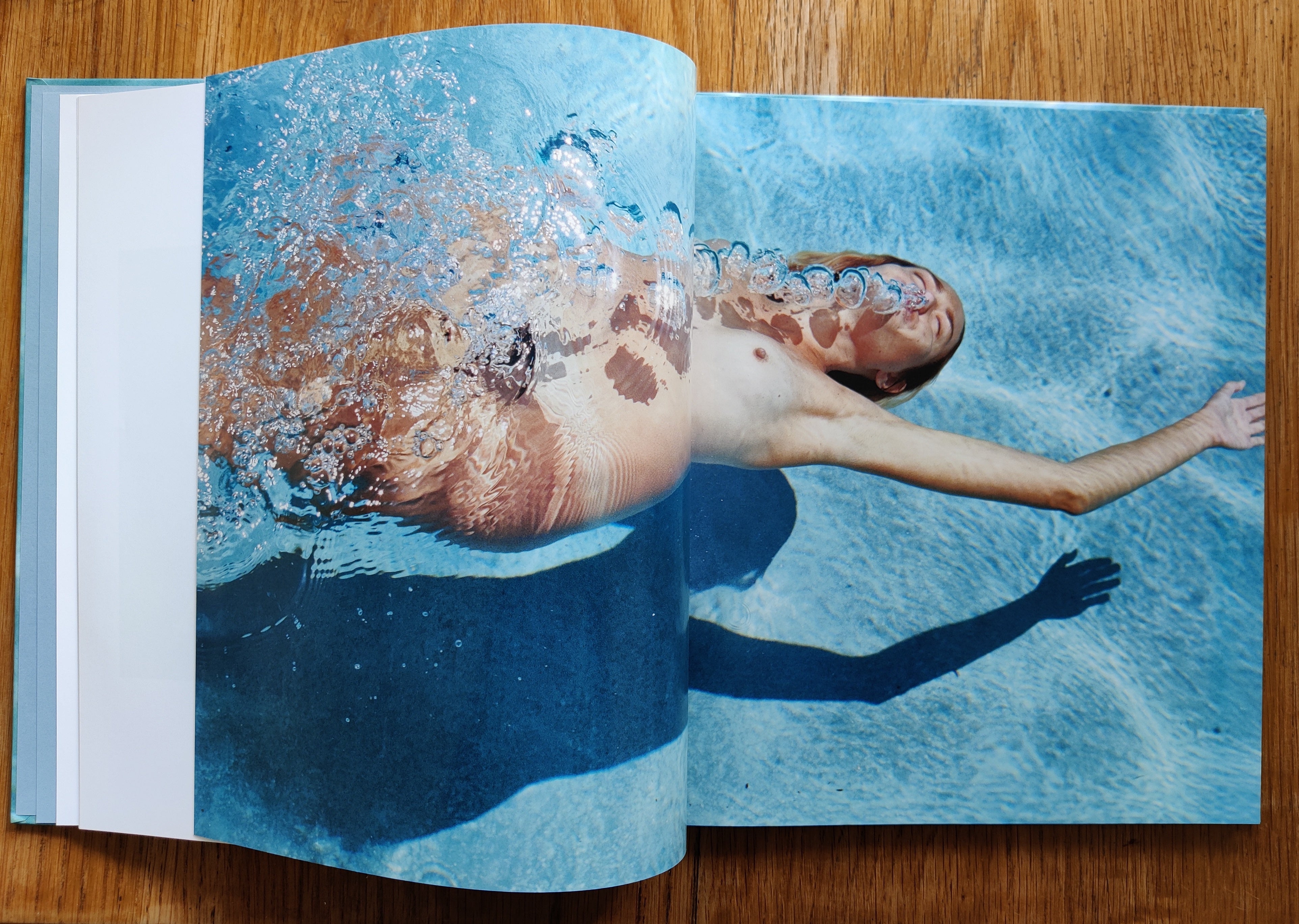 The Swimming Pool by Deanna Templeton | Setanta Books