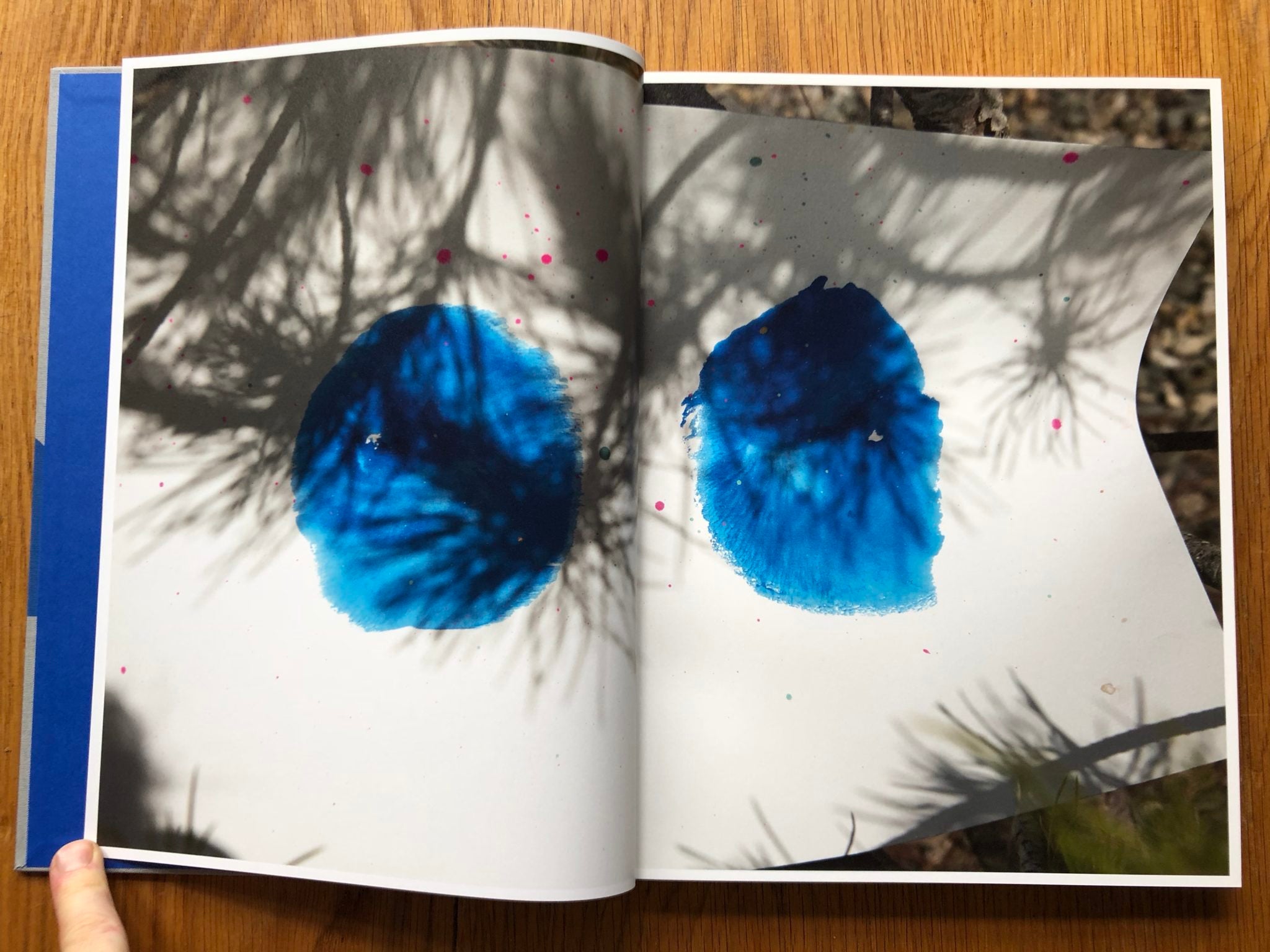 Roxane II by Viviane Sassen | Photography | Setanta Books