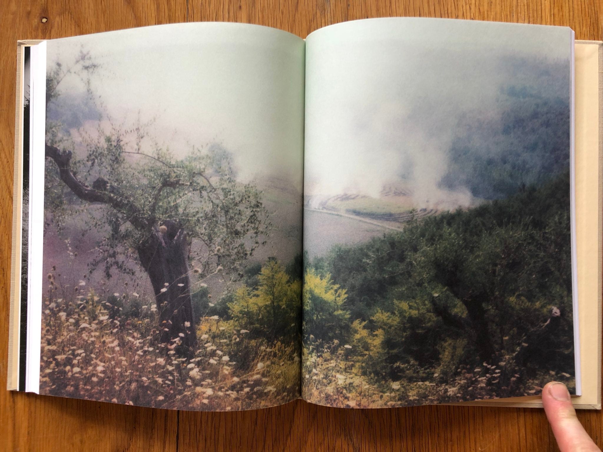 Bright, Bright day by Andrey Tarkovsky | Photography | Setanta Books