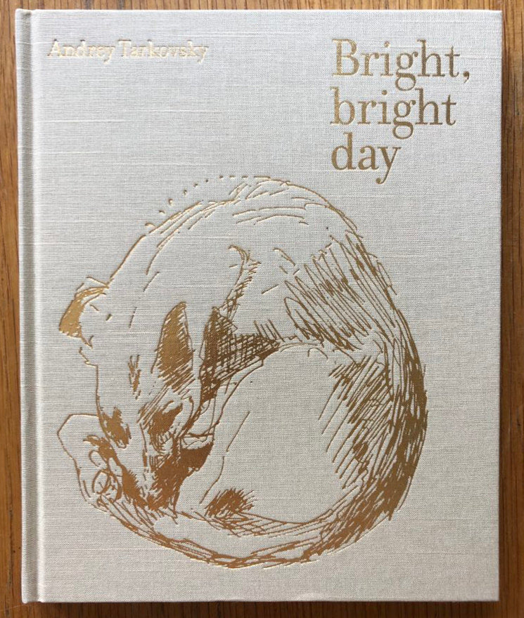 Bright, Bright day by Andrey Tarkovsky | Photography | Setanta Books