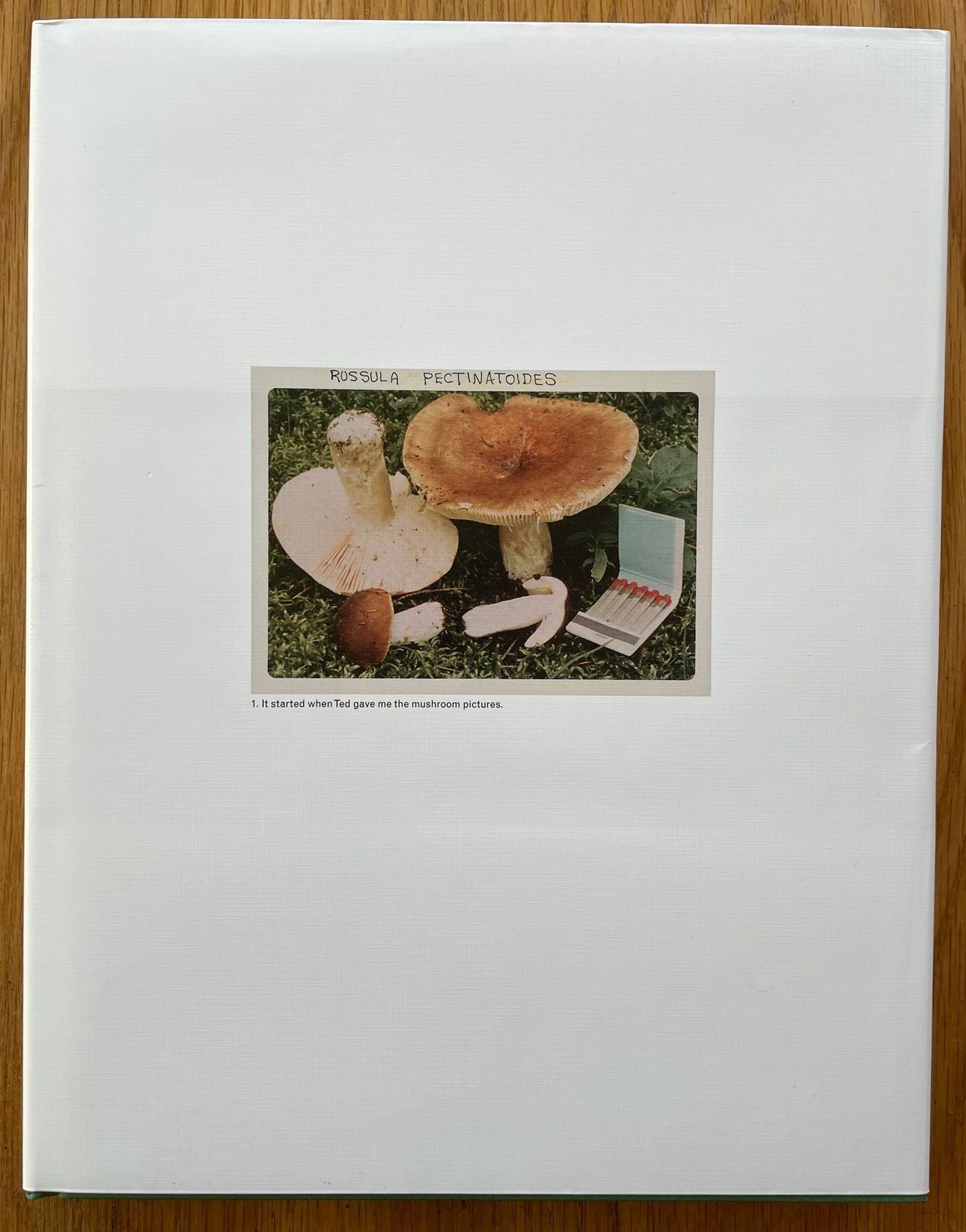 Buy The Mushroom Collector by Jason Fulford Online – Setanta Books