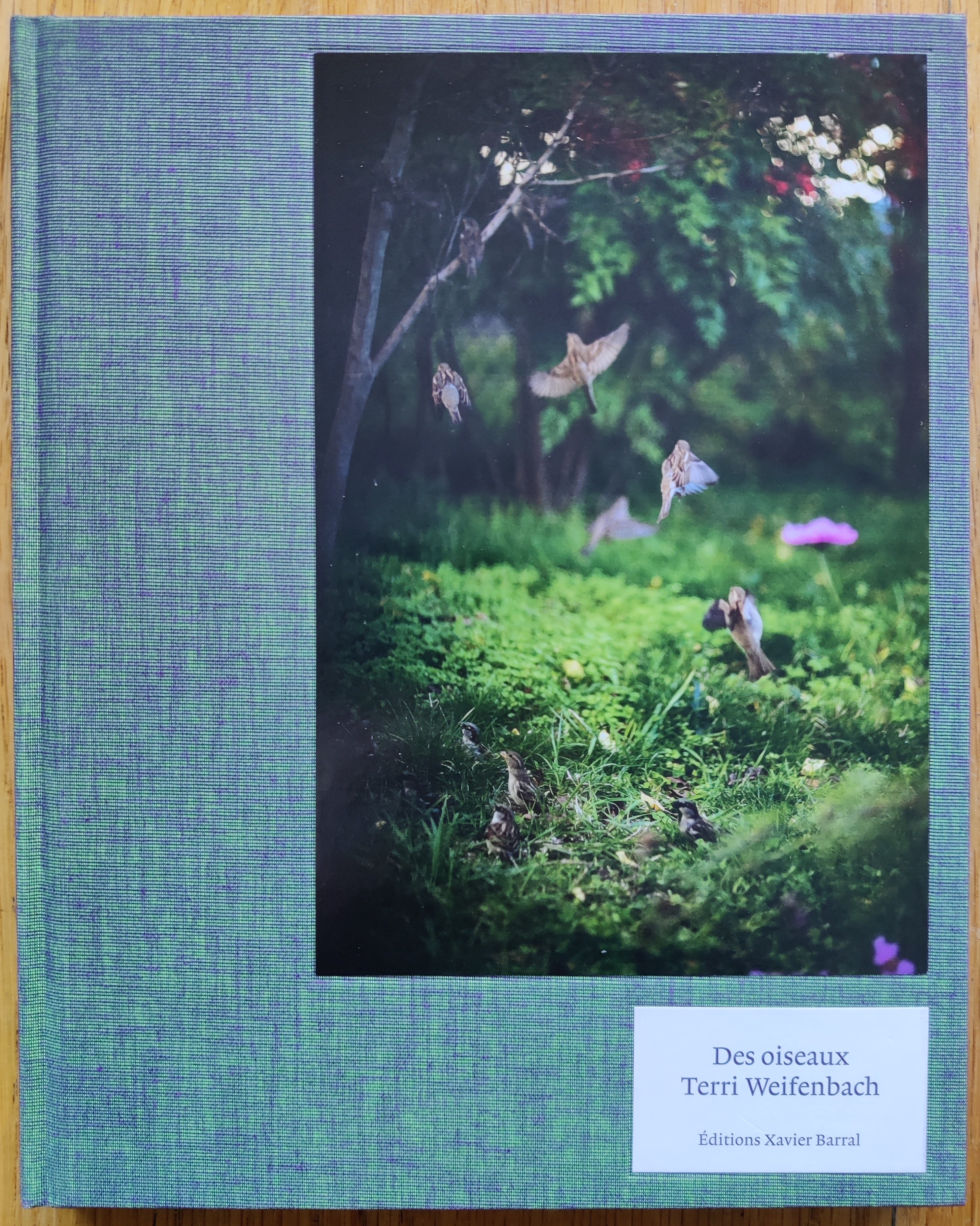Des Oiseaux by Terri Weifenbach | Photography | Setanta Books
